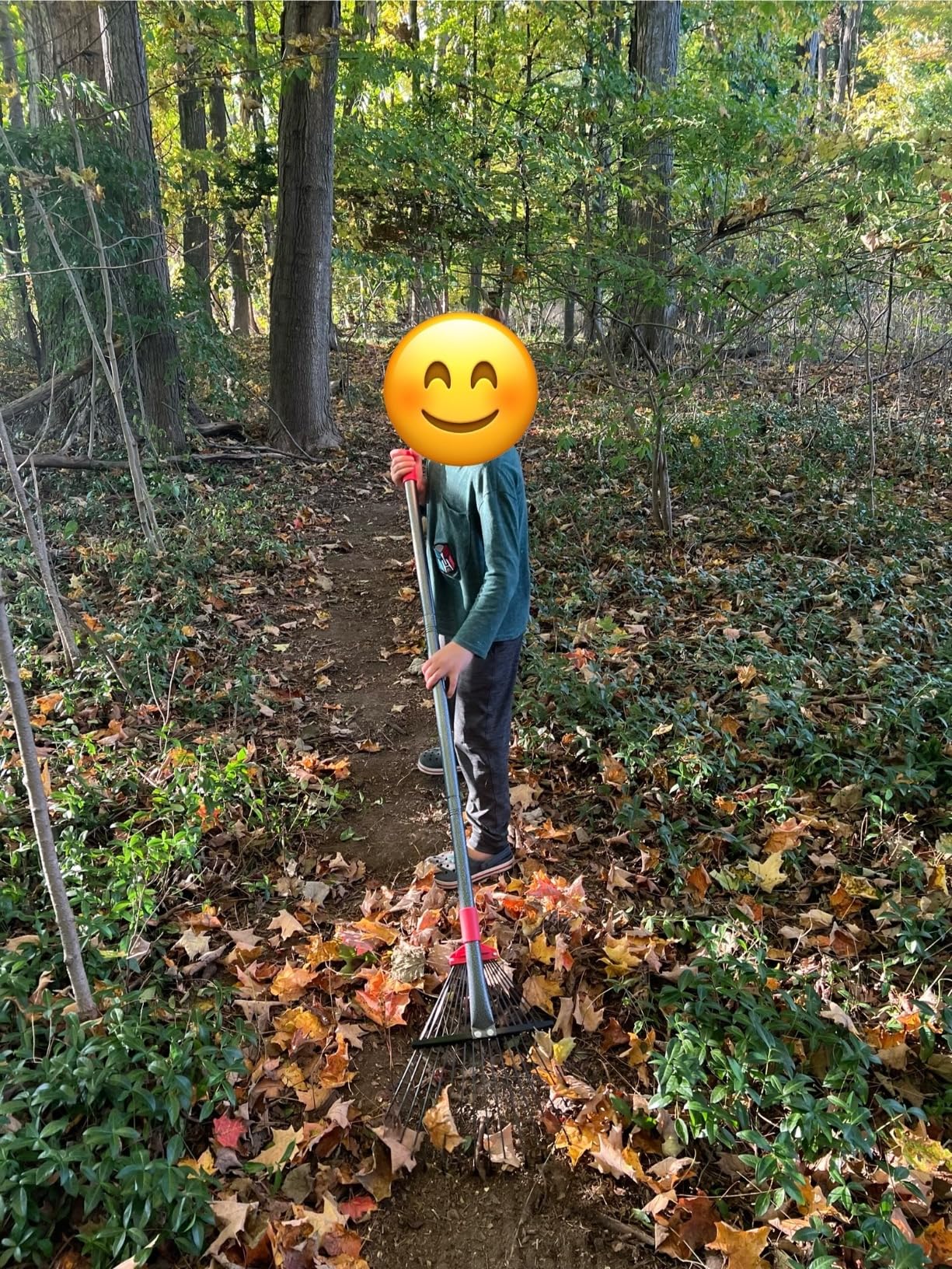 Rake for Leaves, Adjustable 18 Metal Tines with Expandable Head Garden Rakes for Lawns Heavy Duty Metal Rake for Leaves Yard Gardening Grass Outdoor Debris Rake for Leaves, Adjustable 18 Metal Tines with Expandable Head Garden Rakes for Lawns Heavy Duty Metal Rake for Leaves Yard Gardening Grass Outdoor Debris