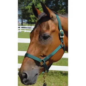 Jeffers Turnout Nylon Horse Halters, 2-Ply, 1"