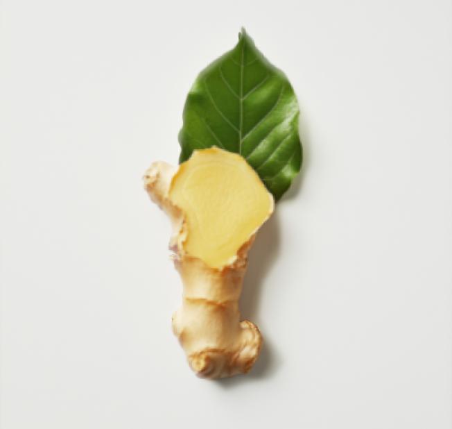 GNGR Energy Booster Shot - Organic Ginger Shots with Lions Mane 75mg Natural Caffeine Green Tea Turmeric Vitamin D & Zinc Natural Immune and Digestive Support USDA Organic Kosher Non-GMO 2 oz Shots 12 Pack - Beverage Sport Juice