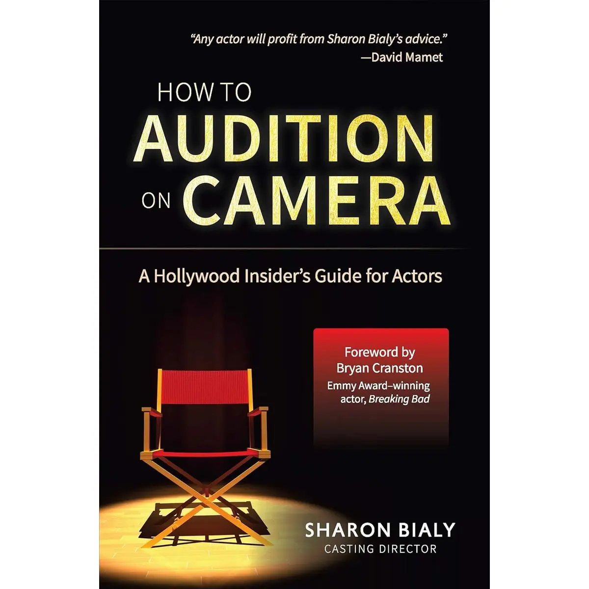 How To Audition On Camera: A Hollywood Insider's Guide for Actors Paperback – September 27, 2016