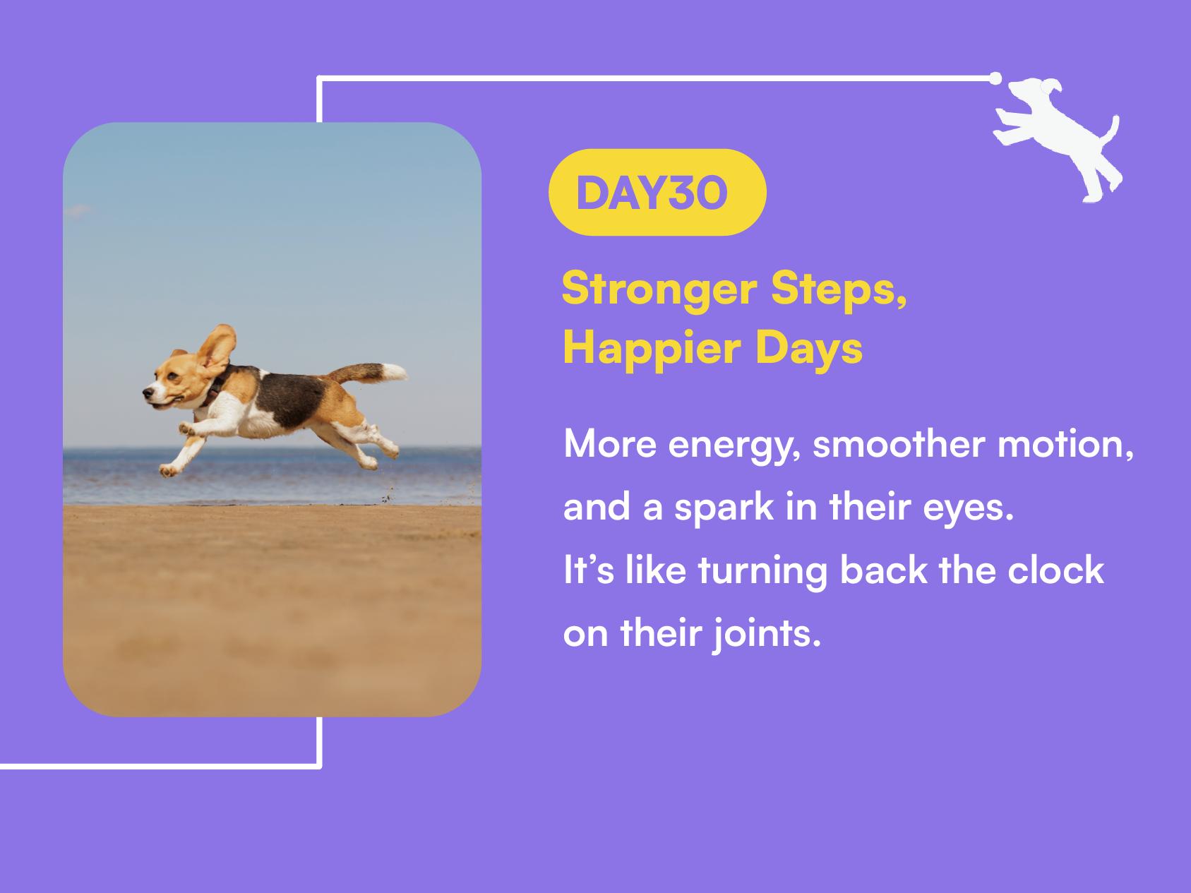 Boops Pets Advanced Hip & Joint Soft Chews - 90 soft chews - Glucosamine, MSM, Chondroitin, Green Lipped Mussel, Hyaluronic Acid - Made in the USA with Real Pasture-Raised Chicken and Real Wholefood Ingredients