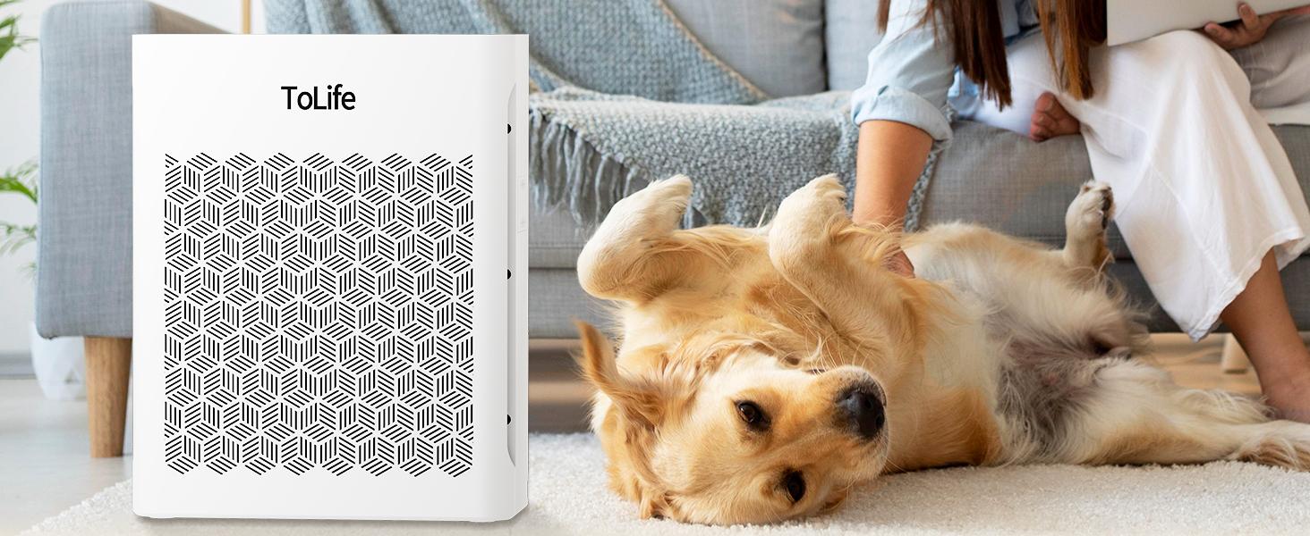 ToLife NEW - TZ-K2 Air Purifier (Covers up to 1095 Sq Ft) - HEPA Filter, Removes Smoke, Pollen, Pet Dander, PM2.5 Display, Auto Mode, Timer, Ideal for Large Rooms ToLife NEW - TZ-K2 Air Purifier (Covers up to 1095 Sq Ft) - HEPA Filter, Removes Smoke, Pollen, Pet Dander, PM2.5 Display, Auto Mode, Timer, Ideal for Large Rooms