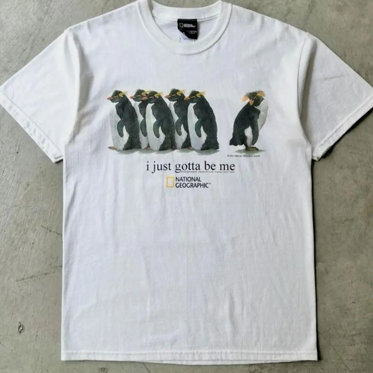 Youth and Adult I Just Gotta Be Me Penguins Unisex Shirt ,national geographic Shirt