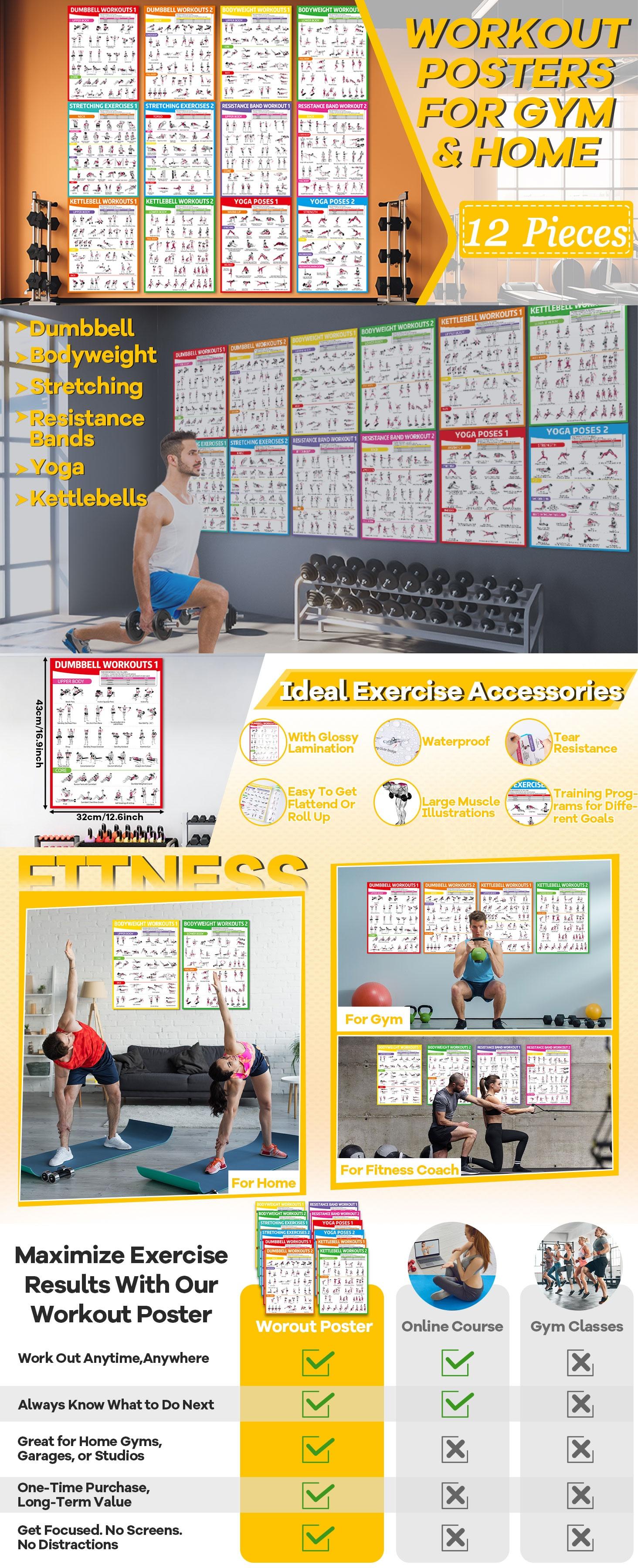 GISGFIM 12PCS Workout Posters for Home Gym Dumbbells, Bodyweight, Stretching, Resistance Bands, Yoga, Kettlebells Exercise Chart Full Body Workout Poster Set Muscle Engagement Chart Garage Gym Decor GISGFIM 12PCS Workout Posters for Home Gym Dumbbells, Bodyweight, Stretching, Resistance Bands, Yoga, Kettlebells Exercise Chart Full Body Workout Poster Set Muscle Engagement Chart Garage Gym Decor