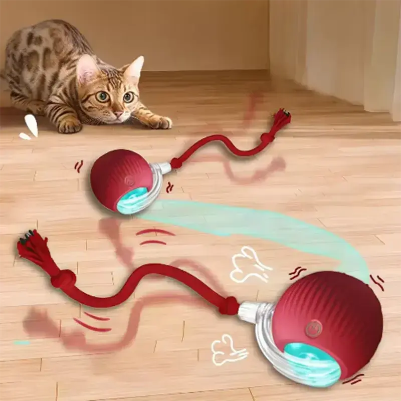 PawSmart™ Interactive Cat & Dog Ball