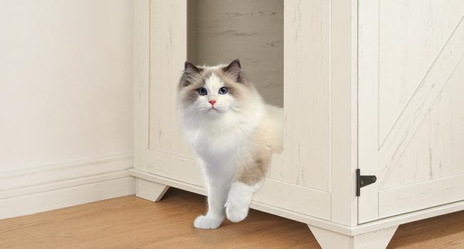 HOOBRO Large Hidden Litter Box Furniture, Litter Box Enclosure with Charging Station and Hooks, Automatic Litter Box Cabinet with Storage Top, Engineered Wood, for Living Room, Cloud White and Walnut