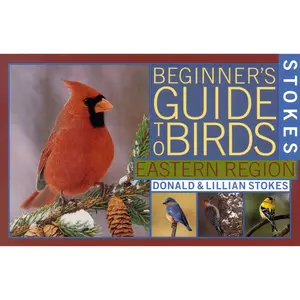 Stokes Beginner's Guide to Birds by Donald Stokes, Lillian Q. Stokes [Paperback Book]