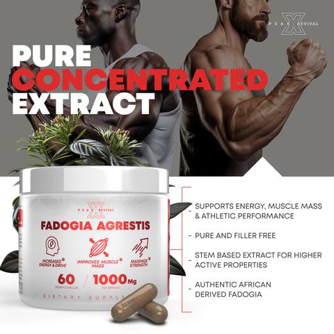Peak Revival-X Fadogia Agrestis 1000mg – Natural Testosterone Support for Men | Muscle Growth, Strength & Energy | Vegan Capsules Peak Revival-X Fadogia Agrestis 1000mg – Natural Testosterone Support for Men | Muscle Growth, Strength & Energy | Vegan Capsules