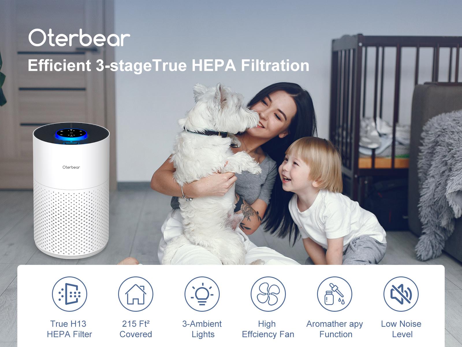 Cobectal 4000C 360° HEPA Air Purifier 2-Pack - High-Efficiency for Large Rooms, Pets & Odors