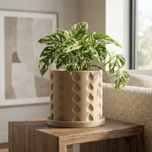 Tear Drop Paragon Planter - Perfect for Home Garden and Plant Display