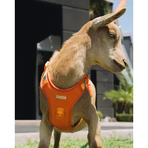 Mesh Dog Harness - Floro Orange