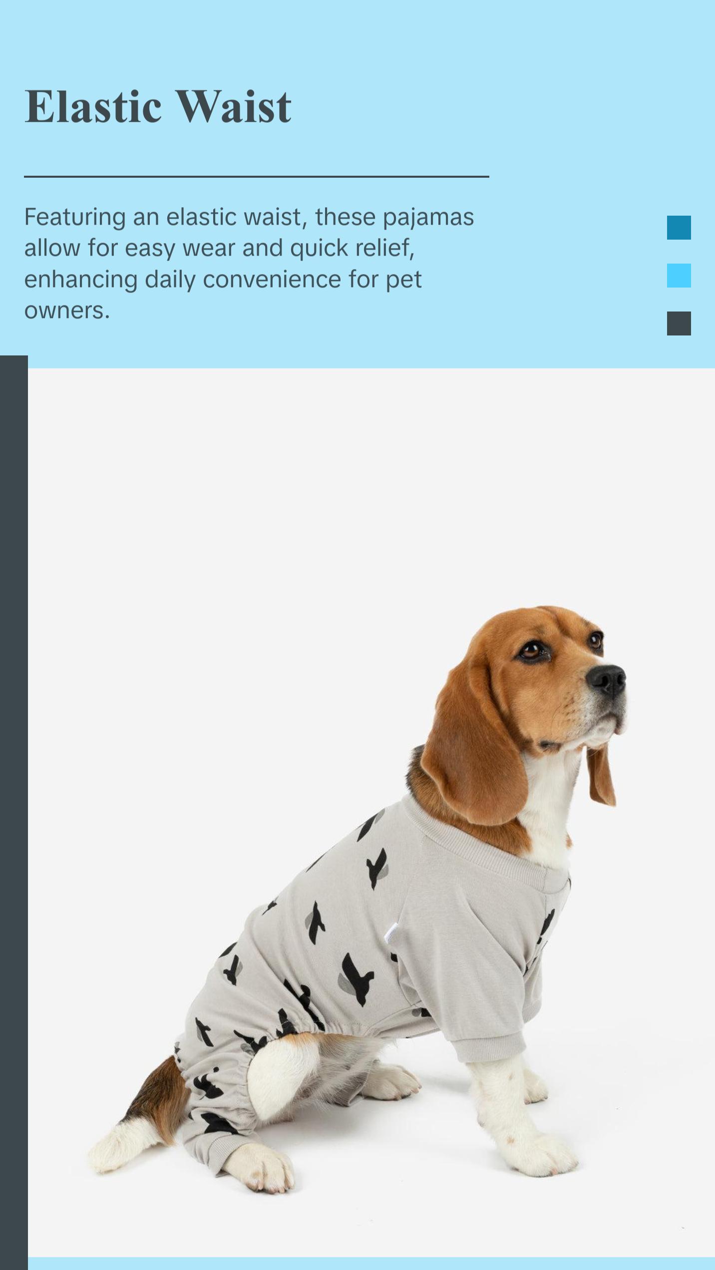 Dog Print Pajamas