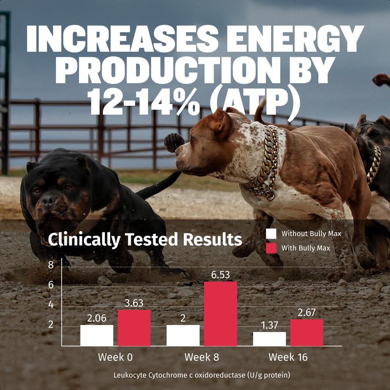 Bully Max 3-in-1 Liquid Dog Muscle Builder Supplement for Puppy and Adults Dogs - Dog Vitamins for Small & Large Breeds - Vet-Approved Dog Supplement Bully Max 3-in-1 Liquid Dog Muscle Builder Supplement for Puppy and Adults Dogs - Dog Vitamins for Small & Large Breeds - Vet-Approved Dog Supplement