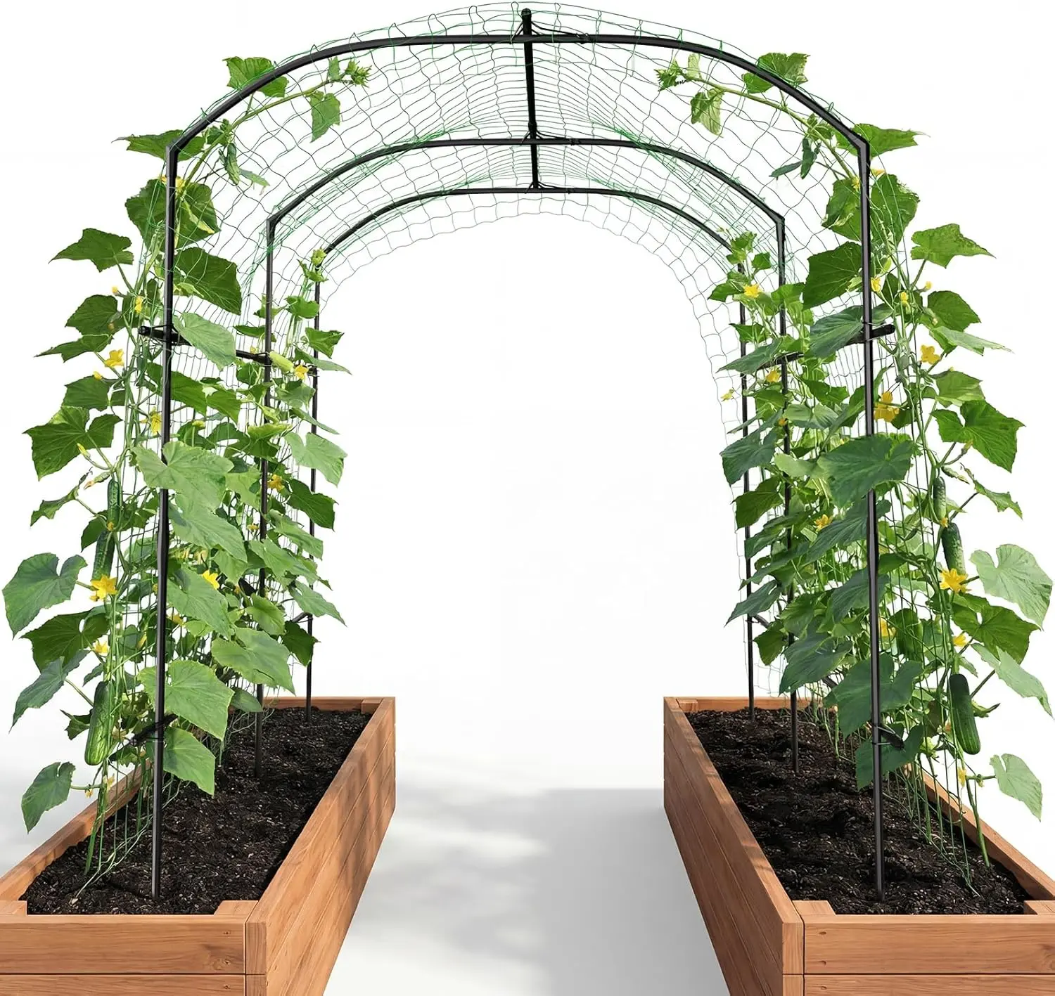 DoCred Tall Garden Arch Trellis, 87''H x 75''L Metal Trellis for Climbing Plants, Large Plant Support Trellis Archway for Climbing Vine Vegetable/Fruit/Flower Outdoor, Yard Lawn Garden Arch Tunnel Trellis, Easy to Install