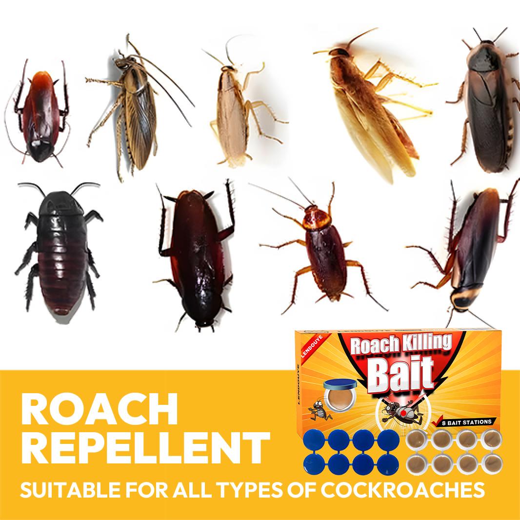 Roach Killing Bait Stations BD Cockroach Killer Gel with 8 Bait Stations for Effective Indoor Pest Control