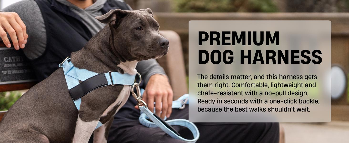 No Pull Dog Harness + D-Ring Bundle - Dog Friendly CO No Pull Dog Harness + D-Ring Bundle - Dog Friendly CO