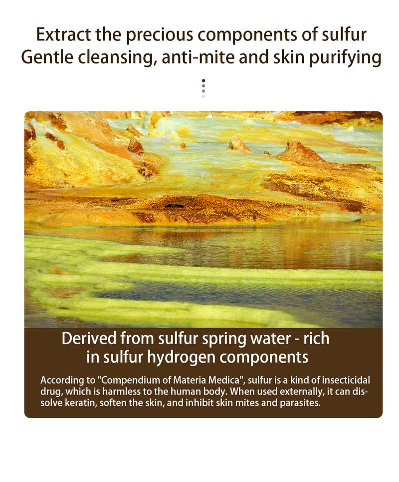 Buy 1 Get 1 Free! Tgideas All-in-One Sulfur Shampoo 250ml - Refresh Scalp, Gentle Formula, Organic Ingredients, Reduce Flakiness, Deep Cleansing for Men & Women Cleanser Scent