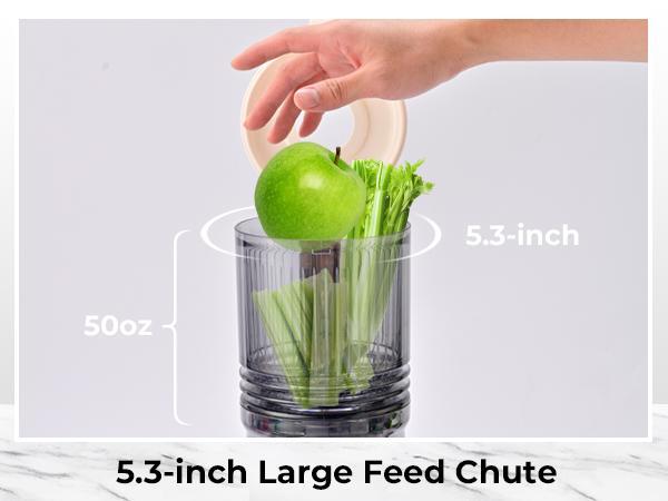 SUSTEAS Cold Press Juicer with 5.3” Feed Chute, Powerful 150NM Motor, Simple operation, Slow Masticating Juice Extractor Fits Whole Fruits,Veggies