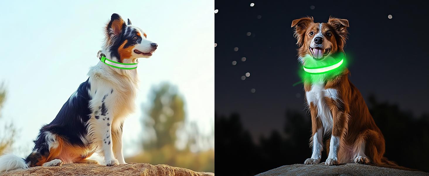 Light-Up Dog Collar,Rechargeable LED Dog Collar ,Durable and Waterproof Adjustable,for Night Walking, Glowing Dog Collar for Enhanced Visibility & Safety, Gift for Pets, Dog Accessories