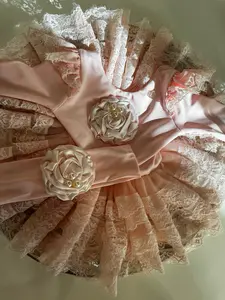 The Darling In Pink The Darling In Pink