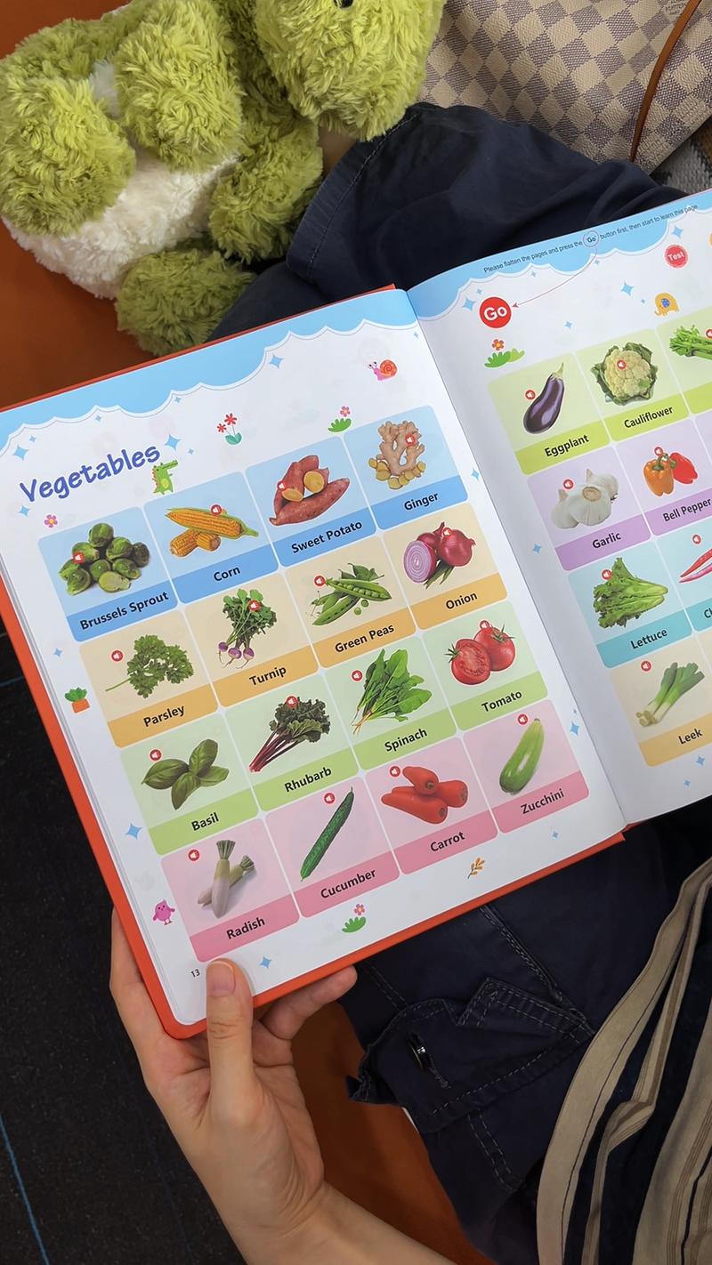 Educational Talking Sound Book – 470+ Words, 21 Themes, 6 Songs & Piano Keys | Perfect Gift for Kids Ages 3–9 | Fun & Interactive Learning Toy Colorful Car