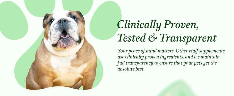 Everyday - Clean Dog Multivitamin Supplement | 45 Active Ingredients for Hip & Joint Support, Gut & Immune Support and Skin & Seasonal Allergy Support - 60 Scoops Bacon & Pumpkin Flavor Probiotics Natural Supplies