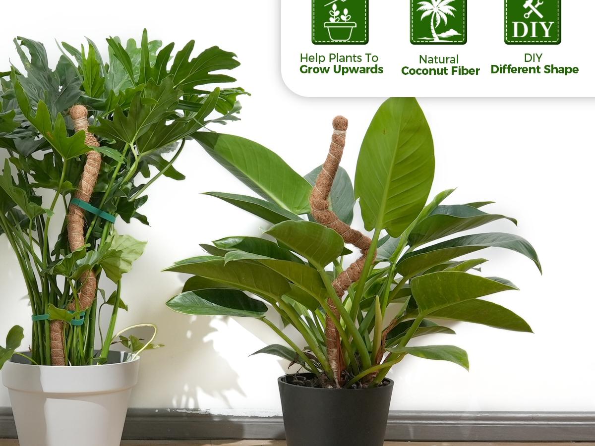 2 Pack 28'' Bendable Moss Pole Monstera Plant Support for Climbing Indoor Plants - Stakes for Potted Climbers - Tall Sticks Indoor Trellis for Houseplants - Accessories for Monstera Pot