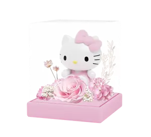 GIFT DAY × Sanrio Heartfelt Gift