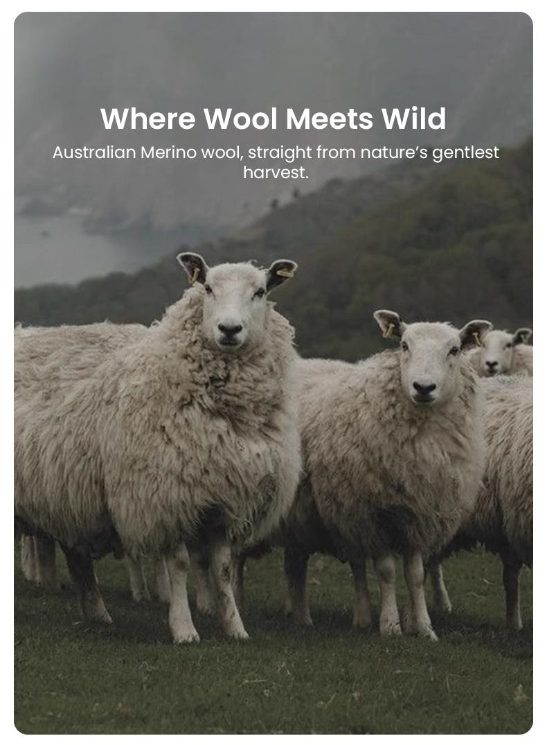 APSMILE Climaloft Hybrid Wool Comforter 100% Organic Cotton, Hypoallergenic Comforter Insert with Tabs, Temperature Regulating All-Season Bedding