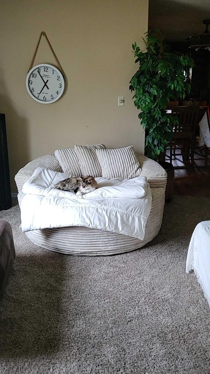 Item: Beige Plush Corduroy