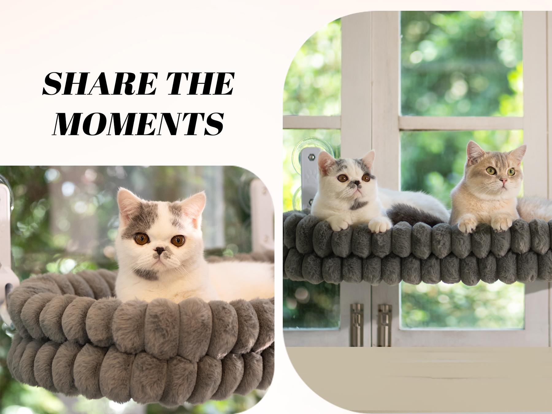 Folding Cat Hammock for Window - Cordless, Machine Washable Bed, Robust Metal Frame, Strong Suction Cups,Cat Window Perch for Cats and Small Dogs Folding Cat Hammock for Window - Cordless, Machine Washable Bed, Robust Metal Frame, Strong Suction Cups,Cat Window Perch for Cats and Small Dogs