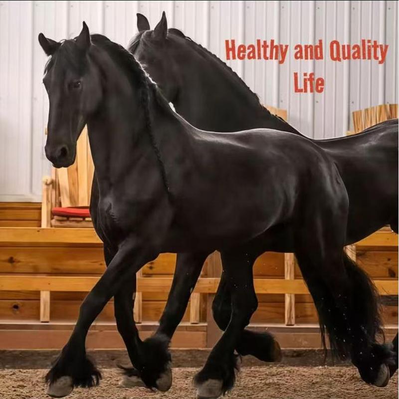 DURVETTTT, 6 boxes.  Contains plant extracts, gentle and non-irritating, apple flavored.  Used for equine bone and joint care. Natural and safe, suitable for daily use.