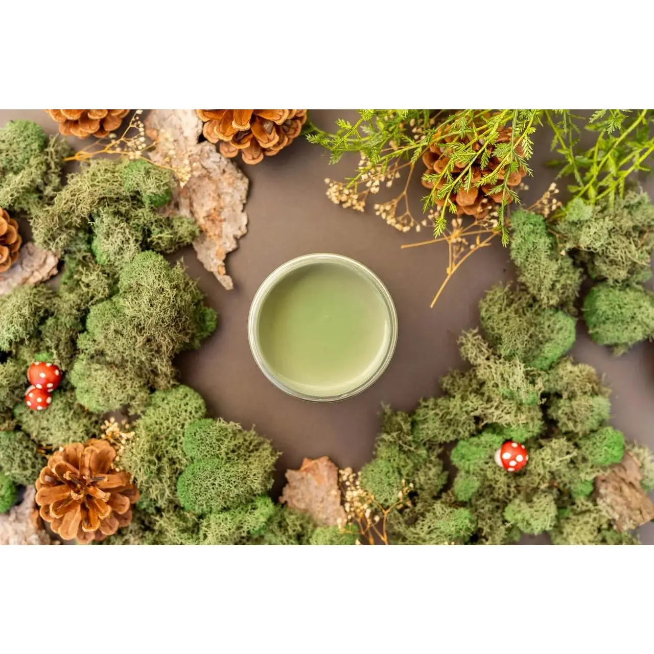 Weeping Willow - Dixie Belle Chalk Mineral Paint
