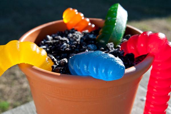 Giant 3-Pound Gummy Worm - Sweet Snack Candy, Red Cherry, Green Apple, Blue Raspberry, Lemon, Orange, Pineapple, Big Gummy Foods, Made In USA