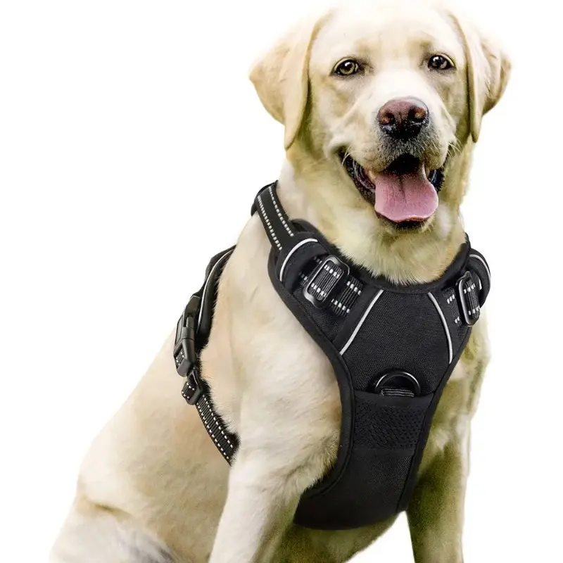 Adjustable Reflective Dog Harness with Detachable Anti-Pull Leash - Eco-Friendly Breathable Polyester Mesh, Premium Electroplated Rings, Machine Washable for Small-Medium-Large Dogs, S, No