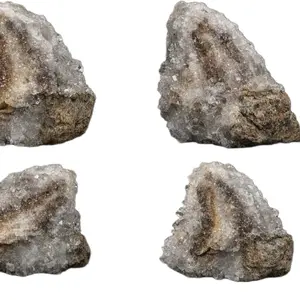 Natural Garden Quartz (Iron-Included Clear Quartz) Cluster on Matrix Untreated • Earth-formed • One of a Kind