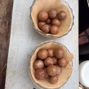 Hawaiian Macadamia Nuts in Shell 1 lb