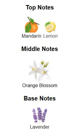 Yves Saint Lauren Libre L'eau Nue Parfum De Peau for Women Eau de Parfum Spray, 1.6 Ounce