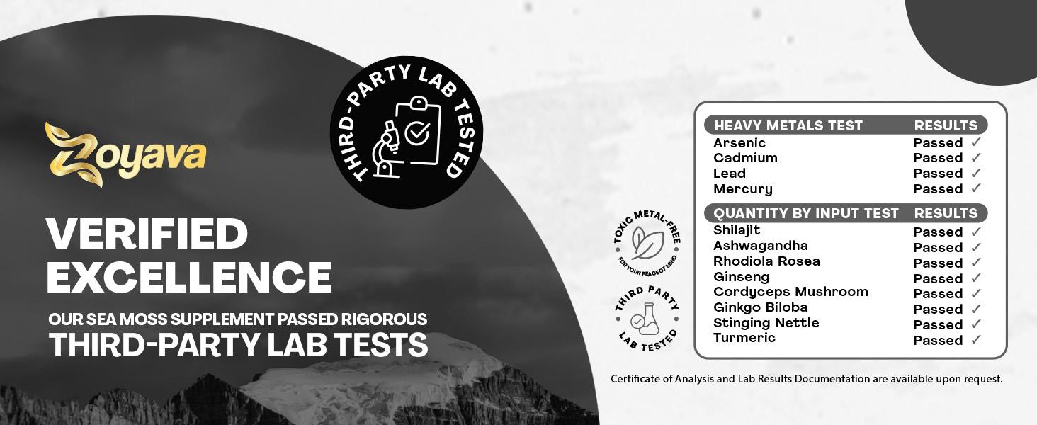 Ageless Performance Bundle - Zoyava NAD+ & Shilajit All-in-One Supplement Combo for Extra Skin Aging Support, Energy, & Overall Wellness - Made in USA