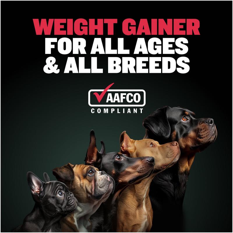 Bully Max Dog Weight Gainer Soft Chews for Puppies and Adults -  1,800 Calories, Dog Food Performance Supplement for Healthy Weight Gain & Immunity