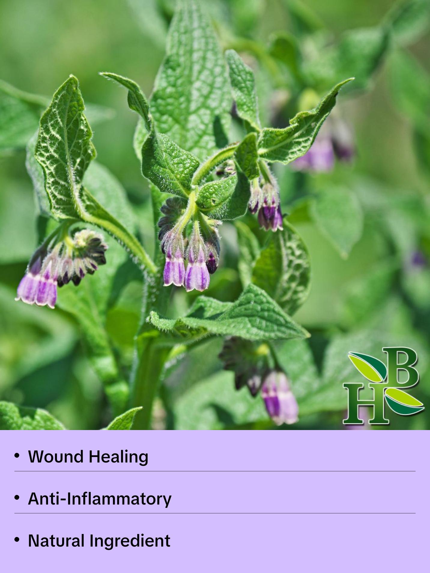 Comfrey Leaf Powder Herbal Ingredients