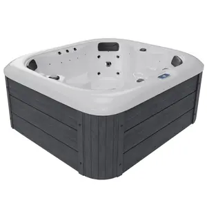 AMERLIFE 2/4 Person Outdoor Hot Tub with Stainless Steel Jets, 110V Acrylic Plug & Play Hot Tub with LED Lights & Waterfall, Home Hydrotherapy Jacuzzi with 2 Filters, 2HP Pump & Cover, Charcoal Gray
