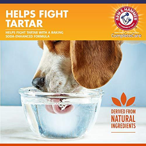 Arm & Hammer Complete Care Dental Water Additive for Dogs, Dog Breath Freshener, Dog Mouth Wash or Dental Rinse, Simply Add to Pet Drinking Water for Fresher Breath, 16 FL OZ