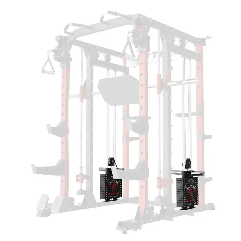 RITFIT Weight Stack Attachment WSBFL, Selectorized & Plate-Loaded Upgrade for Buffalo Home Fitness Equipment, Increased Cable Loading for Smoother Reps & Quick Changes