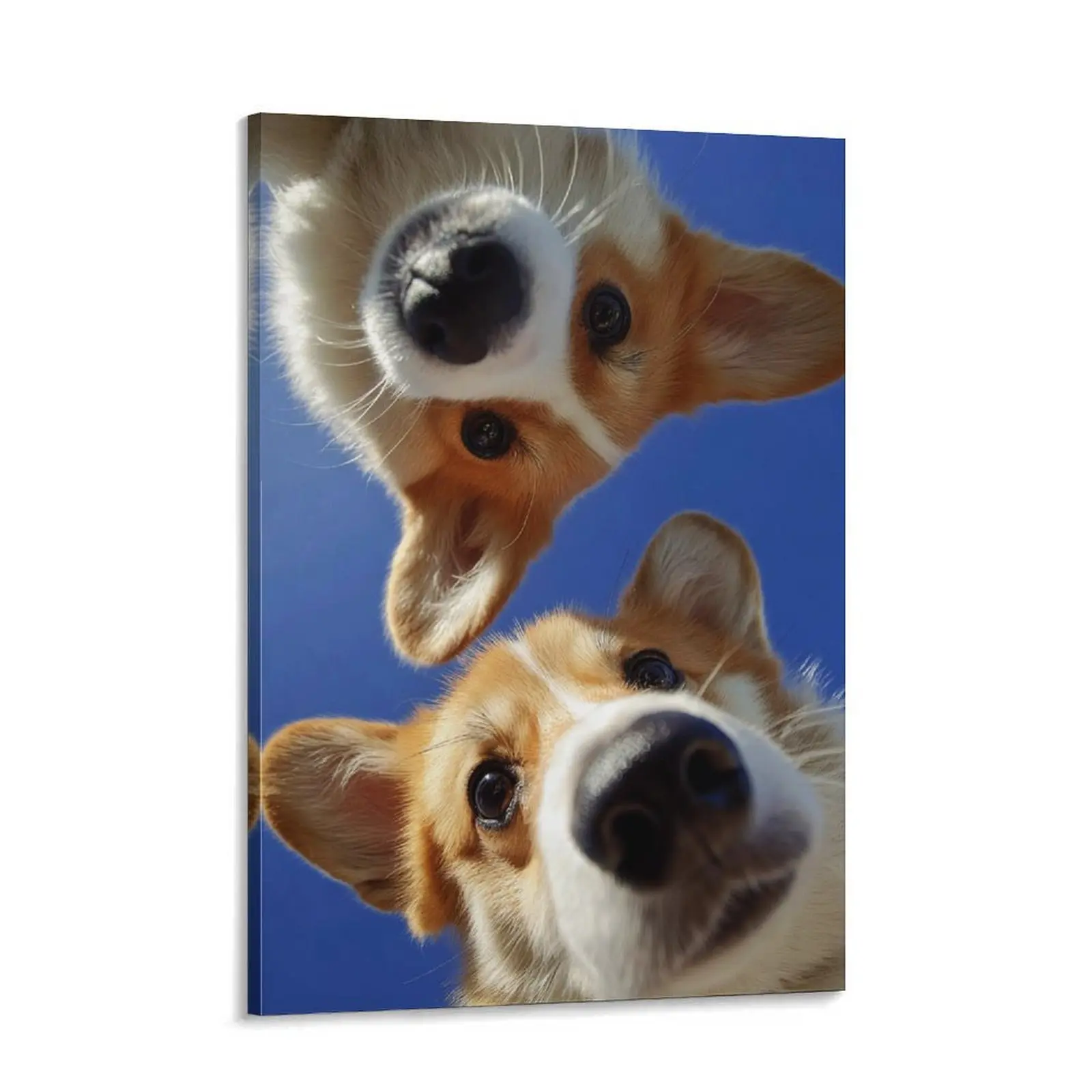 Adorable Two Corgis POV Canvas Wall Art, Funny Low Angle Dog Nose Poster, Cute Pet Animals Blue Sky Print for Living Room Bedroom Decor