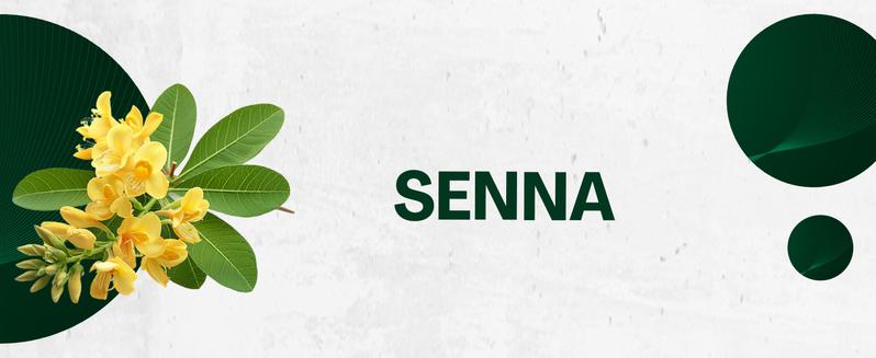 Zoyava Soursop Bitters – Flavored, Extra Strength All-in-One Dietary Supplement Drops, Made in USA – 60mL Nutrition Liquid