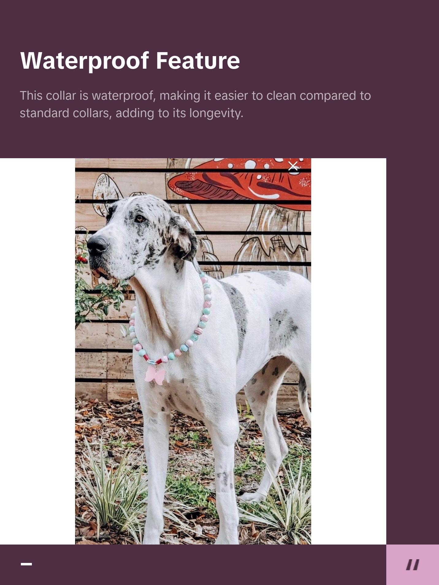 Pink & Mint Beaded Dog Collar | Custom Pearl Dog Collars  | Durable Dog Necklace | Luxury Dog Jewelry |