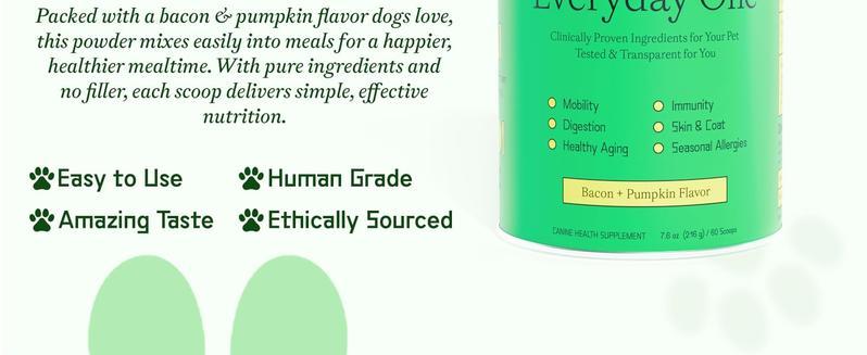 Everyday - Clean Dog Multivitamin Supplement | 45 Active Ingredients for Hip & Joint Support, Gut & Immune Support and Skin & Seasonal Allergy Support - 60 Scoops Bacon & Pumpkin Flavor Probiotics Natural Supplies
