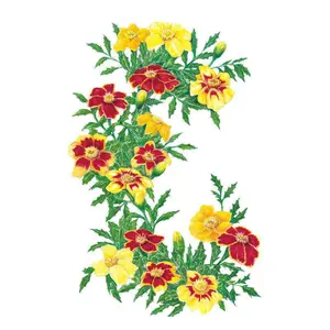 Favourite Blend French Marigold Seeds Favourite Blend French Marigold Seeds