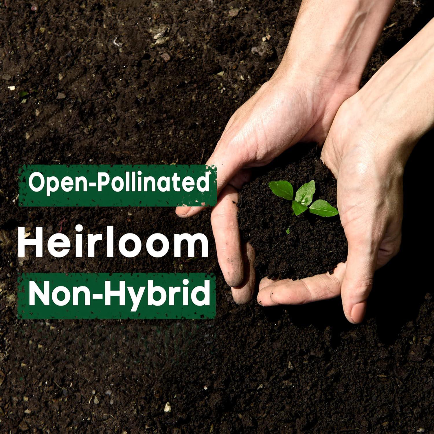 30 Kind of Vegetable Seeds Variety Pack  Non-GMO Heirloom Seeds for Planting Vegetables and Fruits in Individual Seed Packets, Home Garden Seed for Hydroponic, Indoor and Outdoors